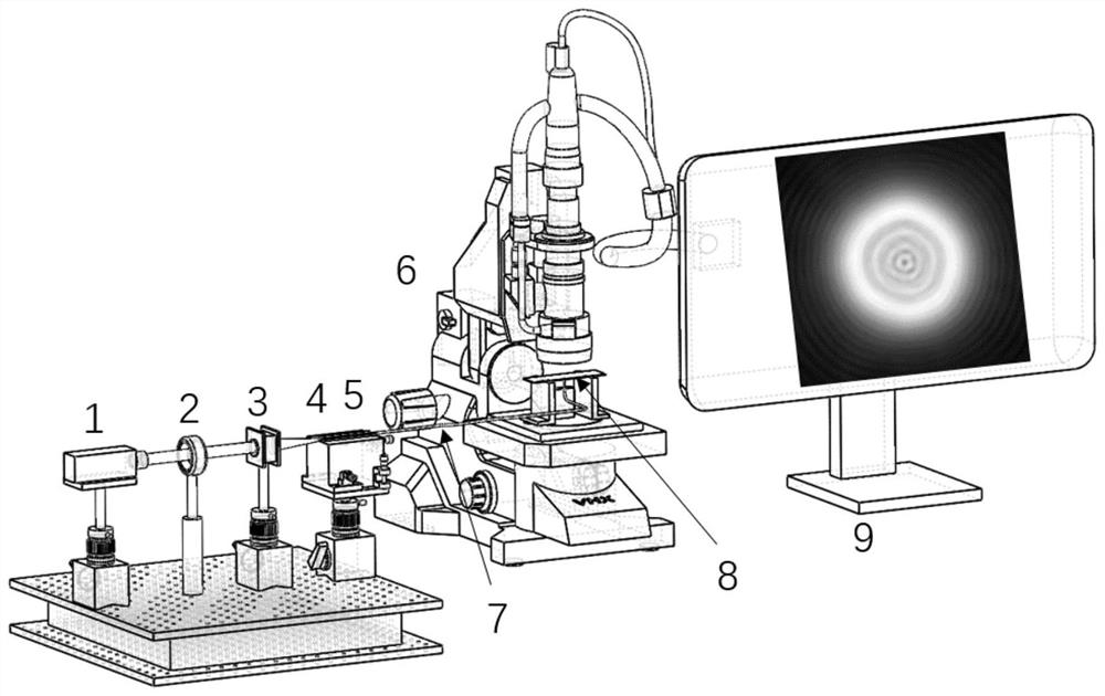 Label-free cell two-dimensional scattering image inversion method based on gray level co-occurrence matrix