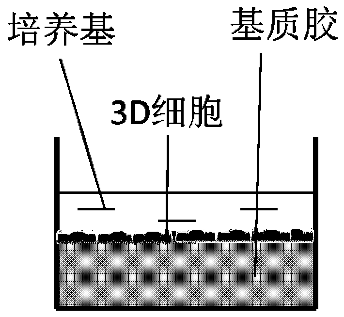 Virus culture method