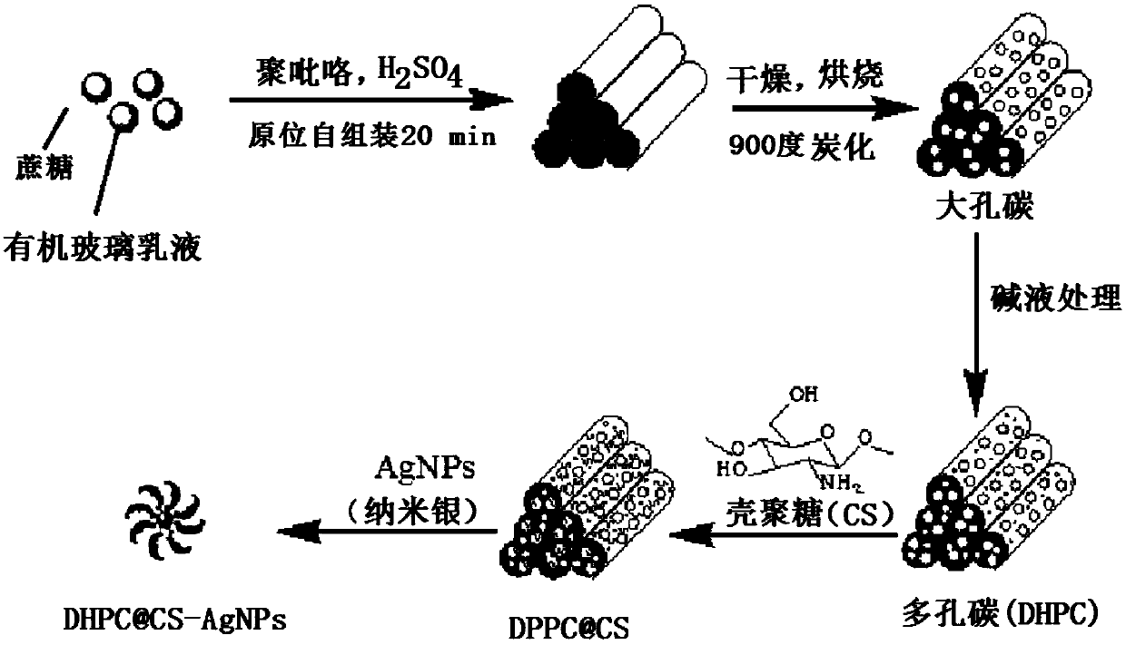 A doped porous carbon-silver nanoparticle for visual and rapid detection of mercury ions