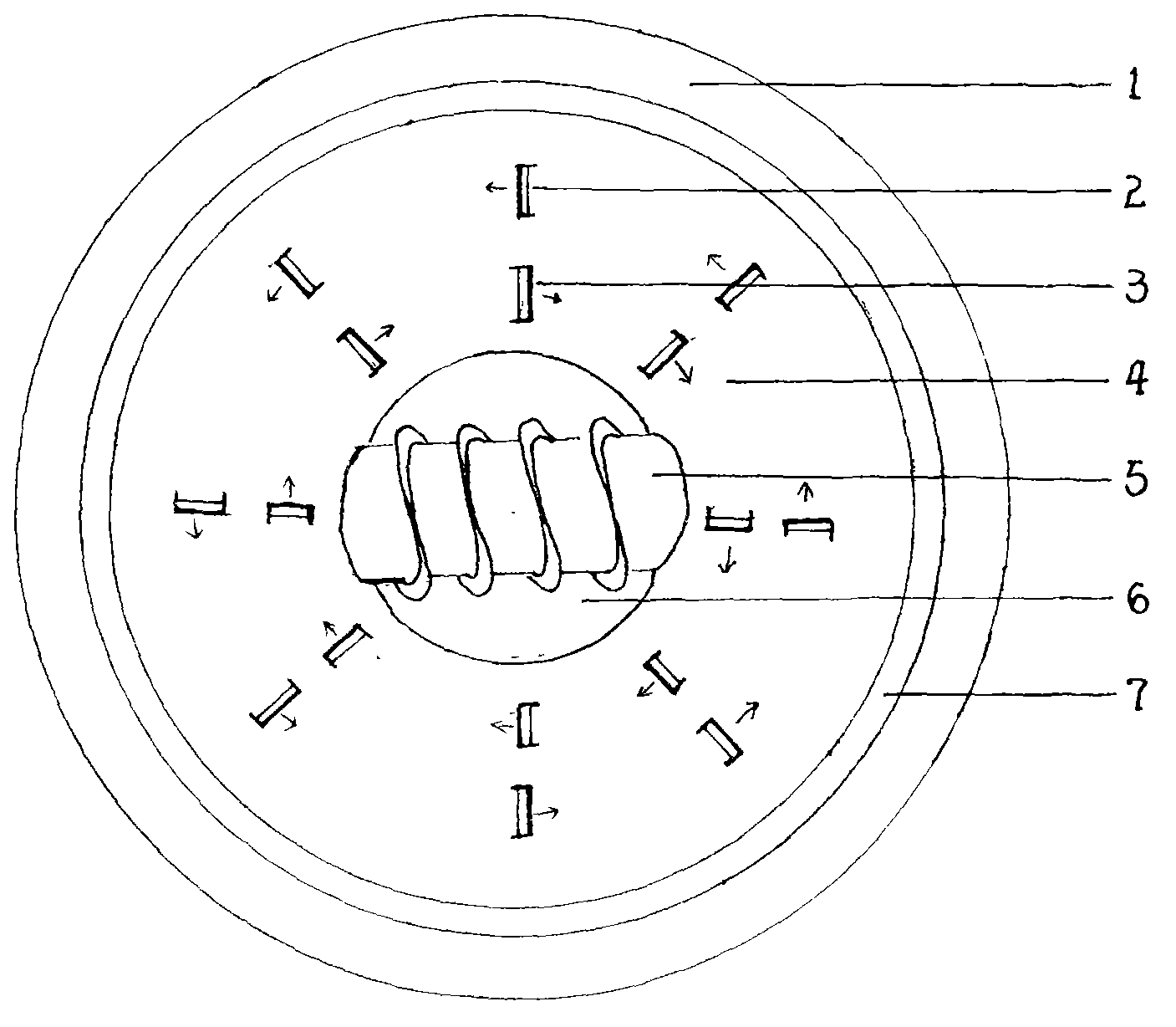 Forward and reverse air distribution structure for biomass burner