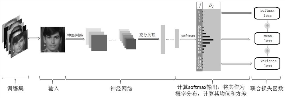 A Face Age Estimation Method Based on Convolutional Neural Network for Distribution Learning