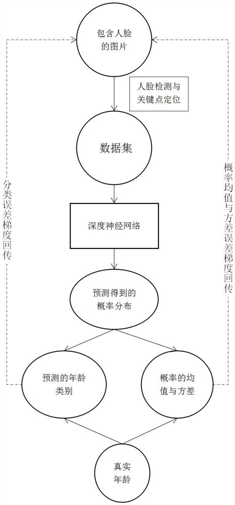 A Face Age Estimation Method Based on Convolutional Neural Network for Distribution Learning