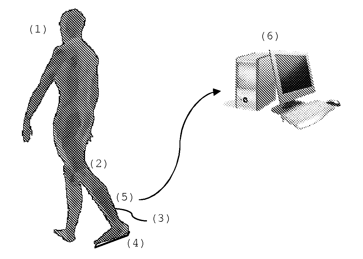 Portable device and method for measurement and calculation of dynamic parameters of pedestrian locomotion