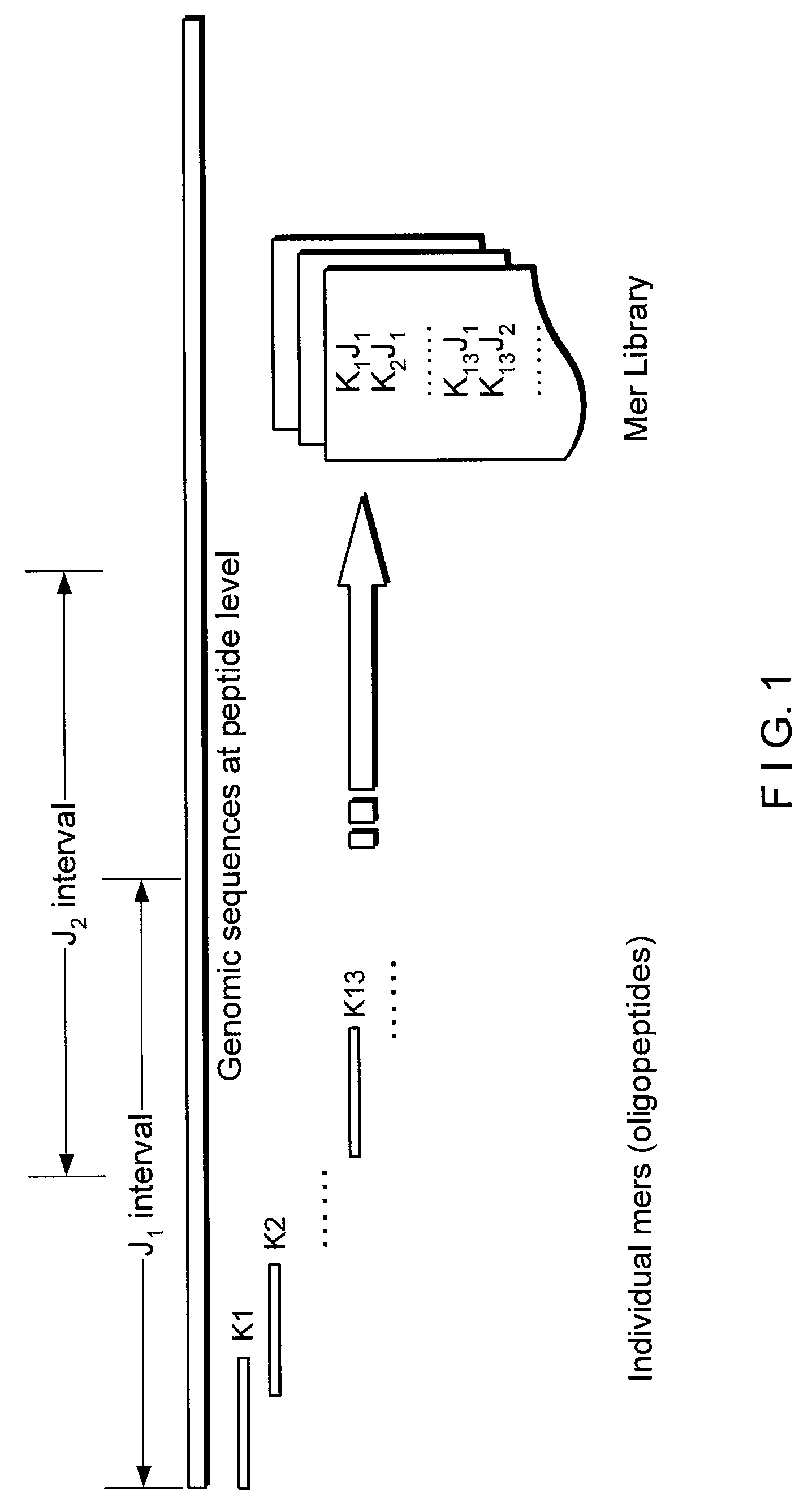 System and method for rapid searching of highly similar protein-coding sequences using bipartite graph matching
