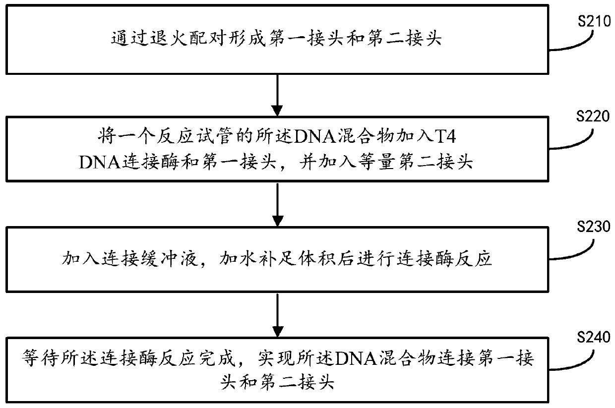 Single-stranded rapid library building method and library building instrument
