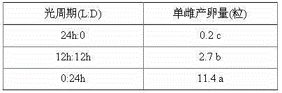 Method for rearing litchi fruit borers