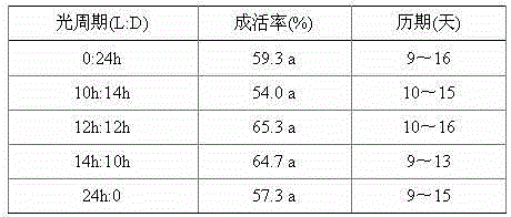 Method for rearing litchi fruit borers