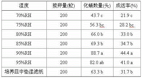 Method for rearing litchi fruit borers