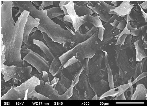 Method for chemically modifying waterborne wood coatings with nanocellulose dispersed graphene