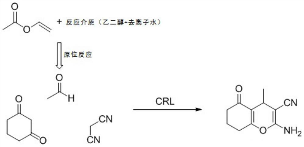 A kind of synthetic method of 2-amino-4h-pyran and its derivatives