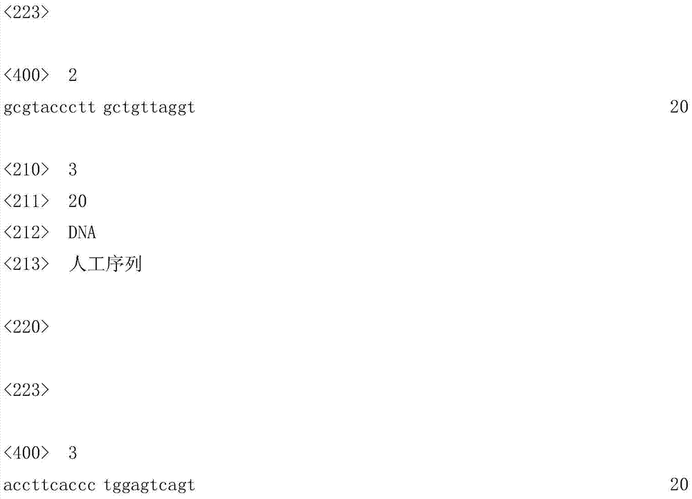 Method for identifying Wuzhishan miniature pig inbred line by applying SNP (single nucleotide polymorphism) of MLANA gene