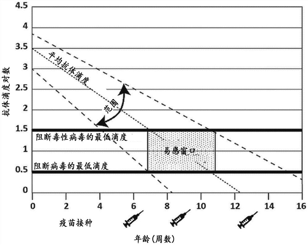 Veterinary parvovirus antibody