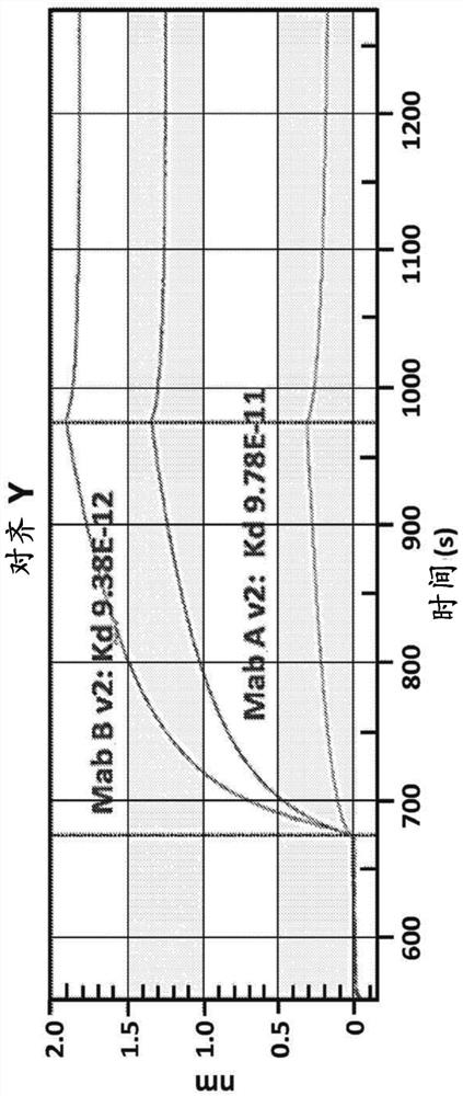 Veterinary parvovirus antibody