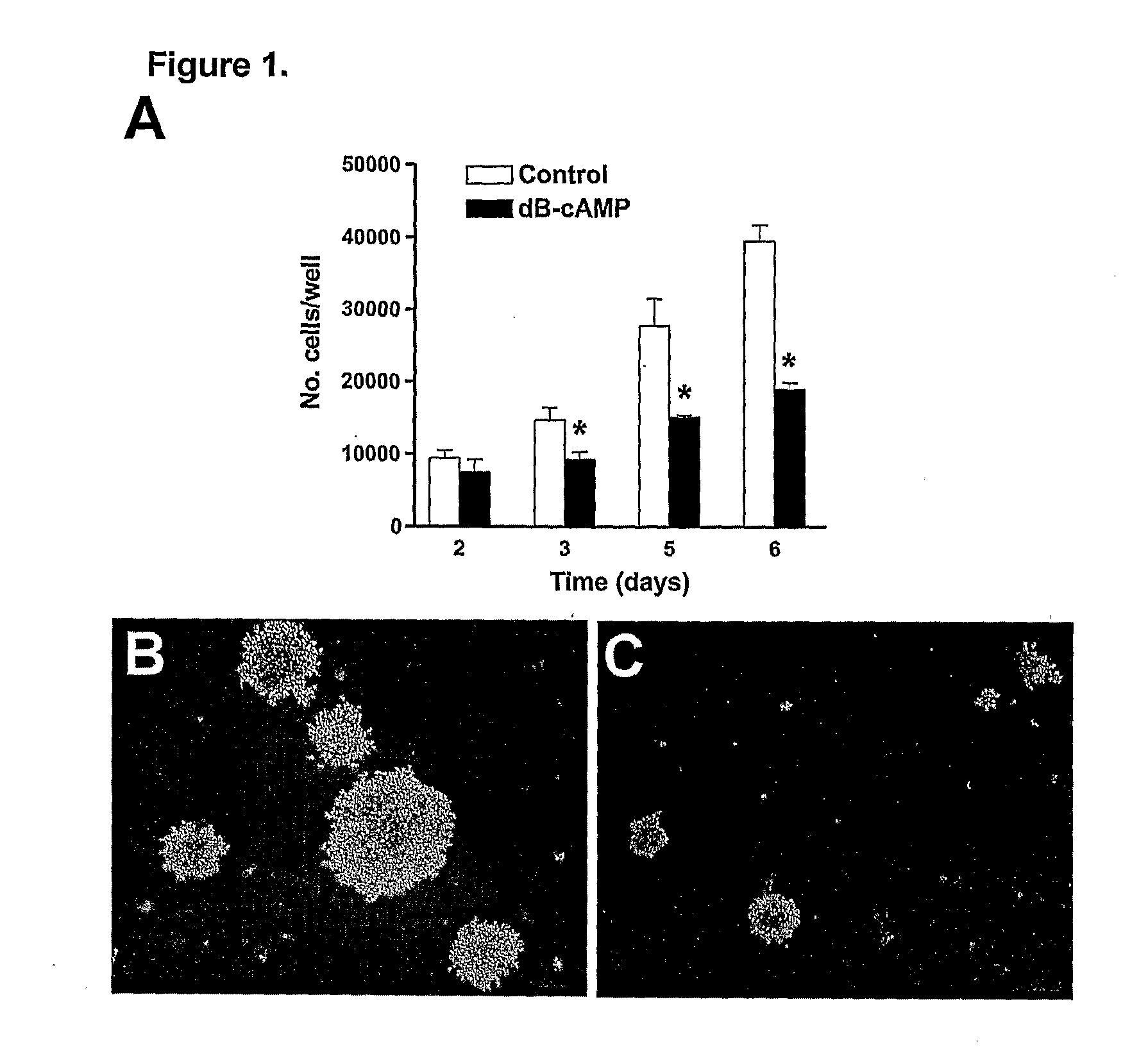 Insulin-Like Growth Factor Binding Protein-4 Compounds and Methods for Inhibiting Angiogenesis and Tumor Growth in Mammalian Cells