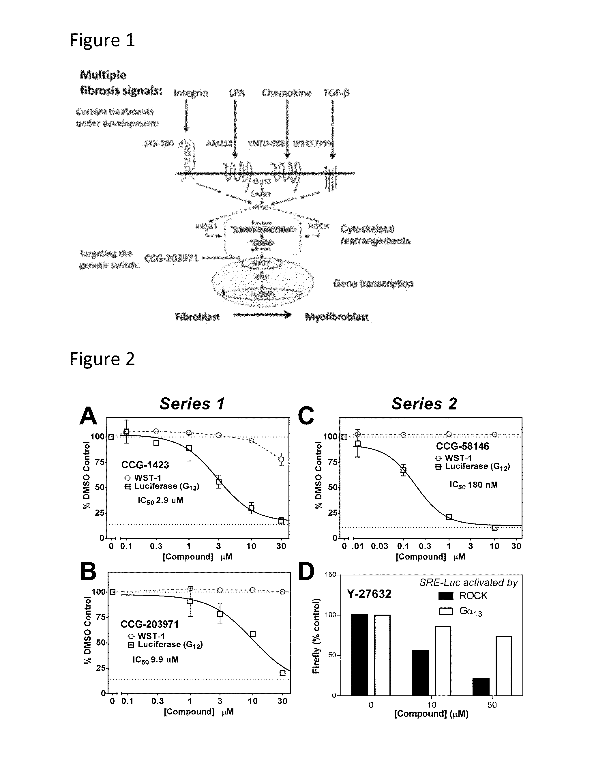 Methods and compositions for inhibiting rho/mrtf-mediated diseases and conditions