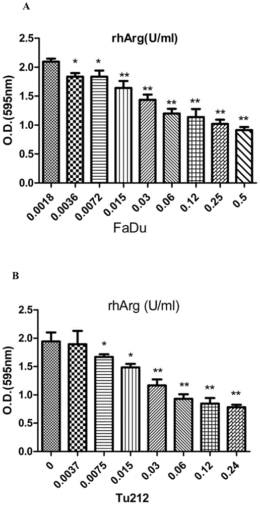 Preparation for combined treatment of head and neck neoplasms, and uses thereof