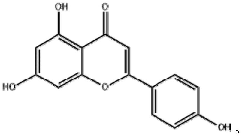 Method for extracting apigenin from Ostericum sieboldii and application