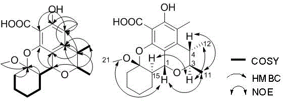 Citrinin compound penicitrinol L derived from Penicillium citrinum, preparation method and application of citrinin compound penicitrinol L