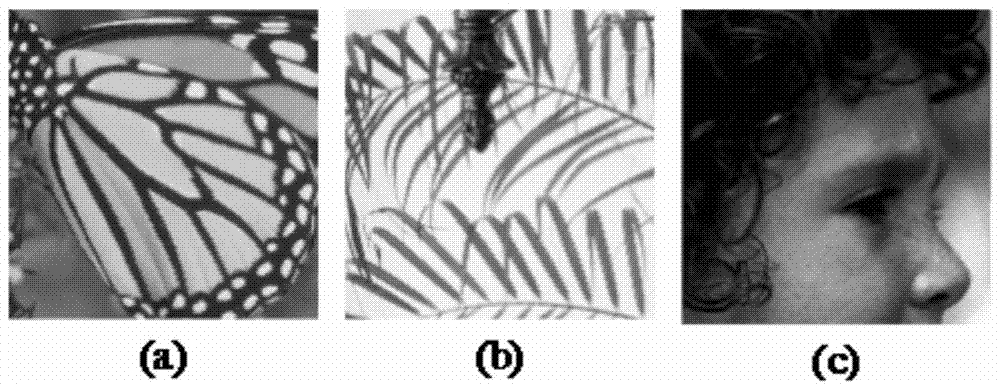 A single-frame image super-resolution reconstruction method based on pre-amplified non-negative neighborhood embedding