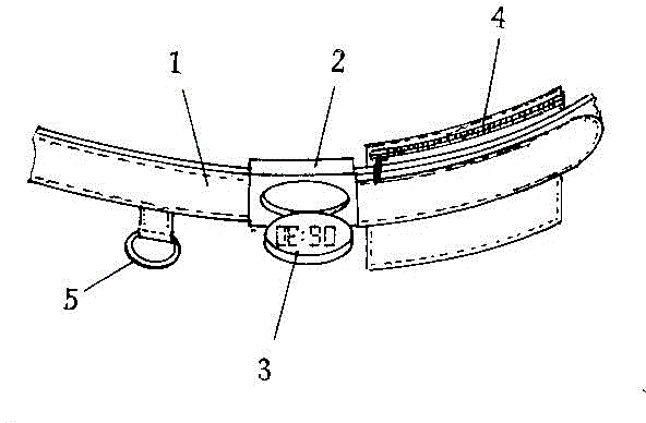 Multi-purpose belt