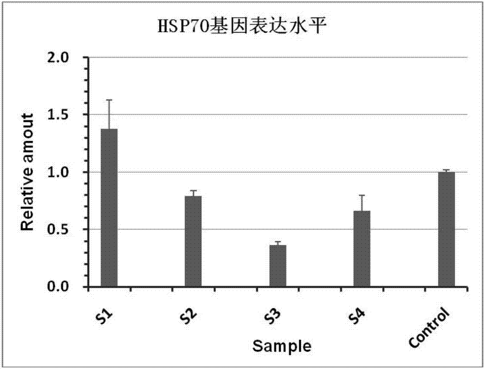 Primer composition for detecting expression level of human-derived HSP70-1 gene and application of primer composition