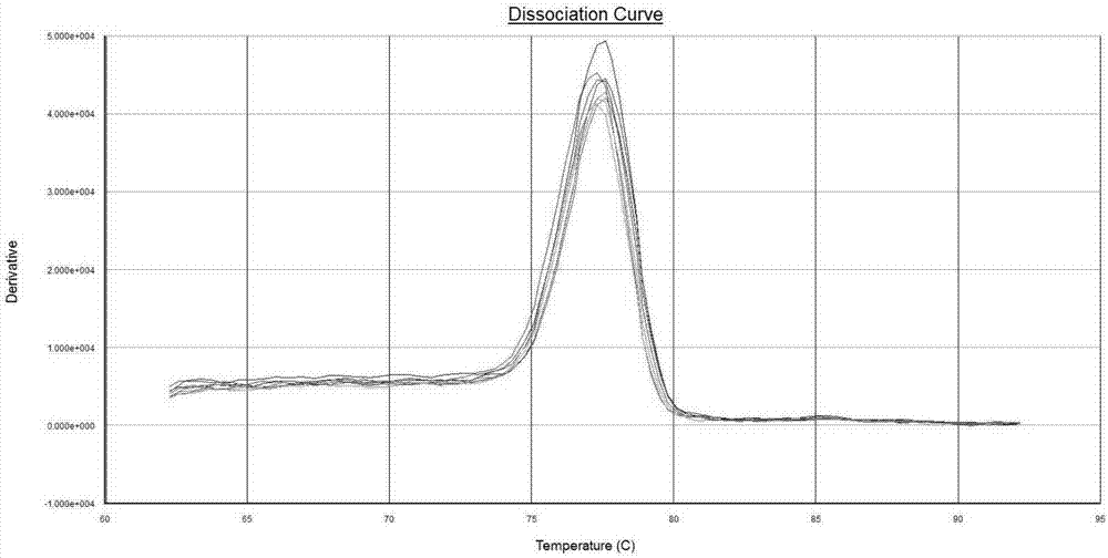 Primer composition for detecting expression level of human-derived HSP70-1 gene and application of primer composition