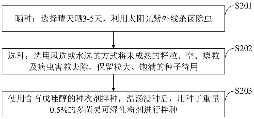 Cultivation method for intercropping konjak and coix lacryma-jobi