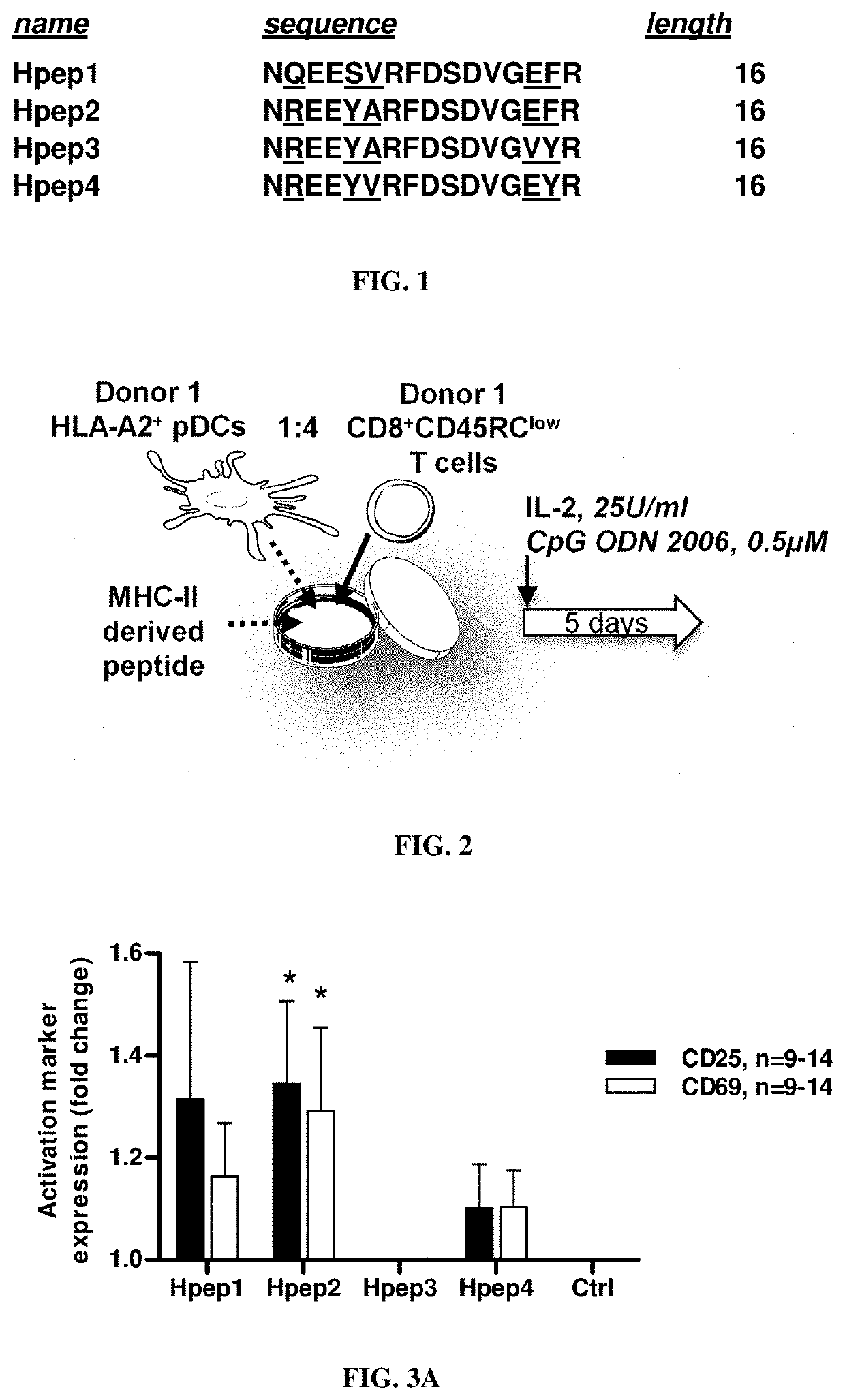 Isolated mhc-derived human peptides and uses thereof for stimulating and activating the suppressive function of cd8+cd45rclow tregs