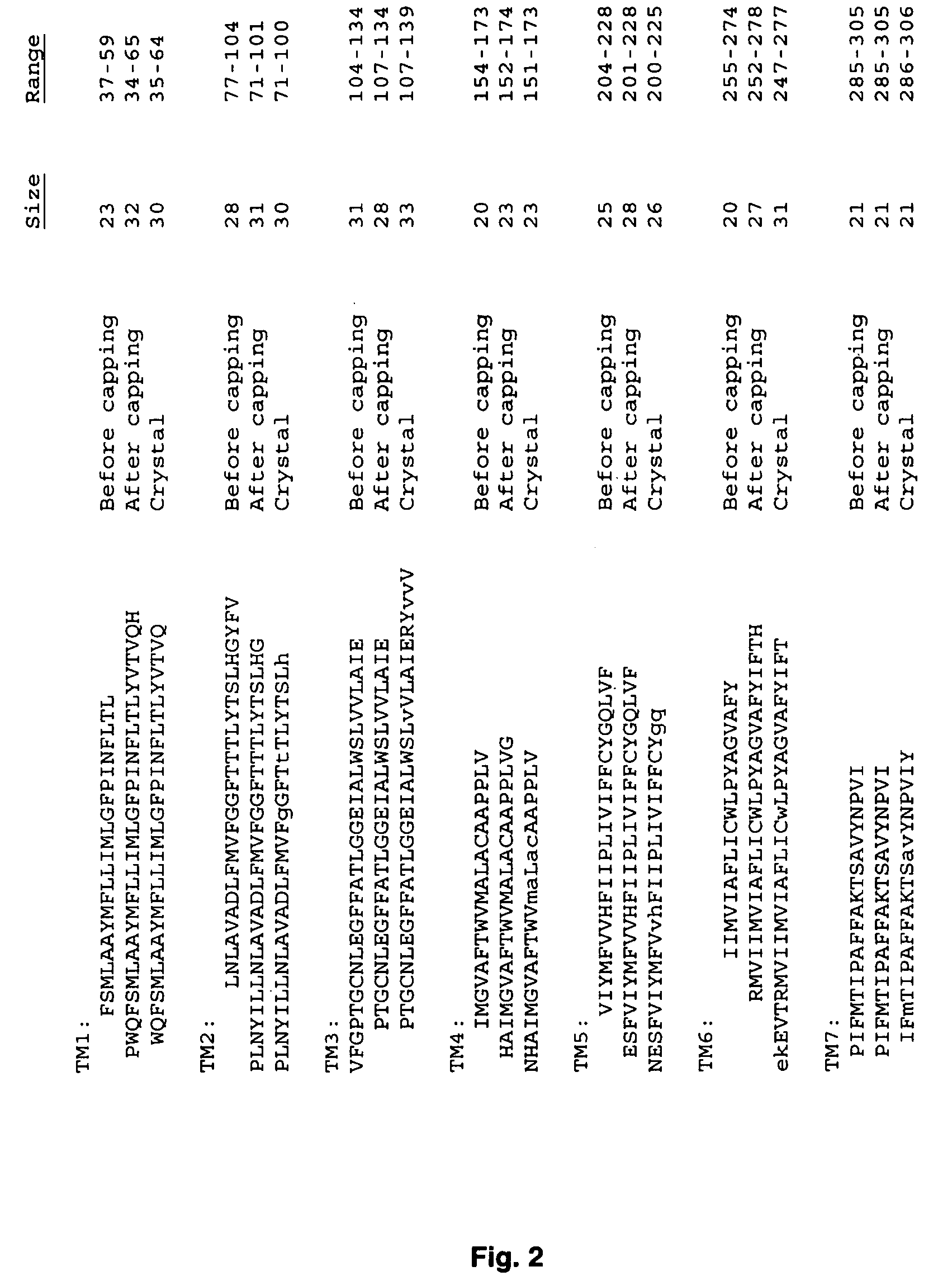 Systems and methods for predicting the structure and function of multipass transmembrane proteins