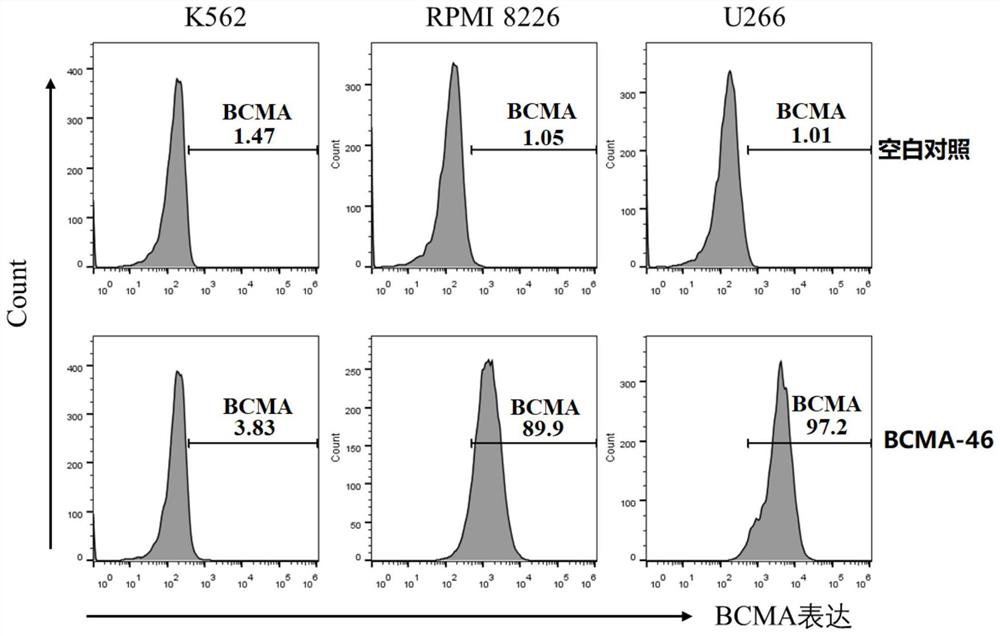 Monoclonal antibody for resisting B cell maturation antigen and application of monoclonal antibody