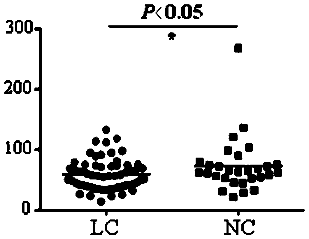 Application of SDPR autoantibody detection reagent in preparing lung cancer screening kit