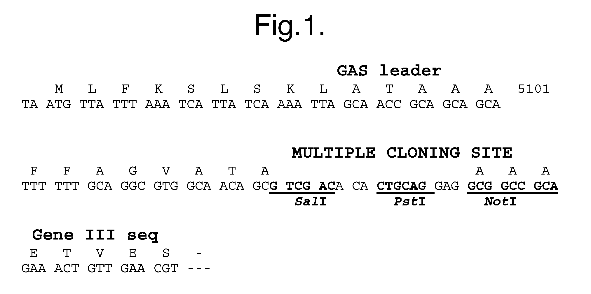 Methods for selecting protease resistant polypeptides