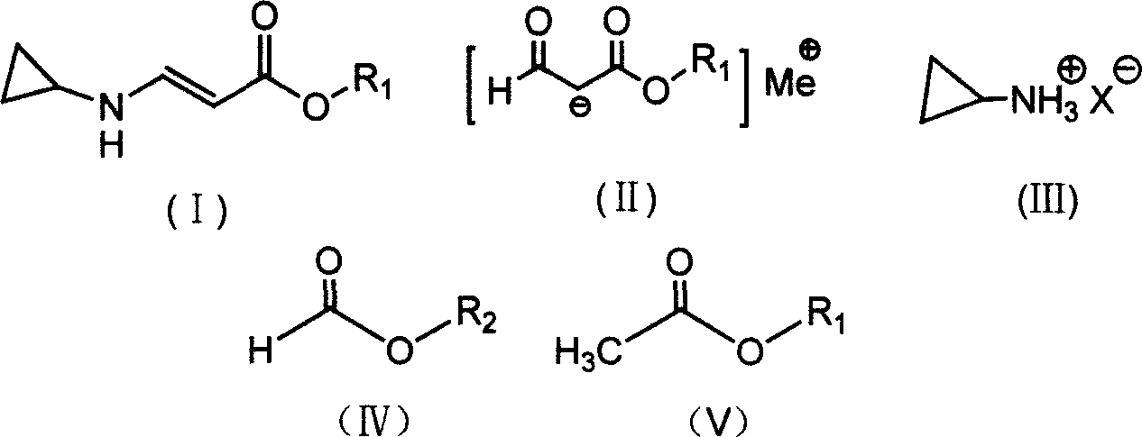 Synthesis process of beta-cyclopropylamino acrylate