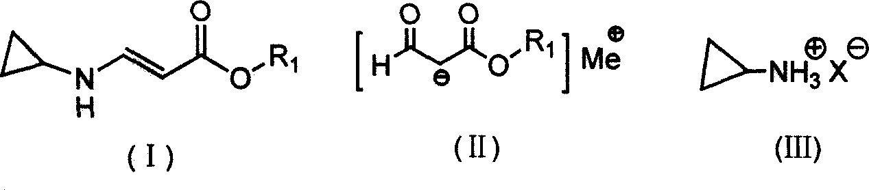 Synthesis process of beta-cyclopropylamino acrylate