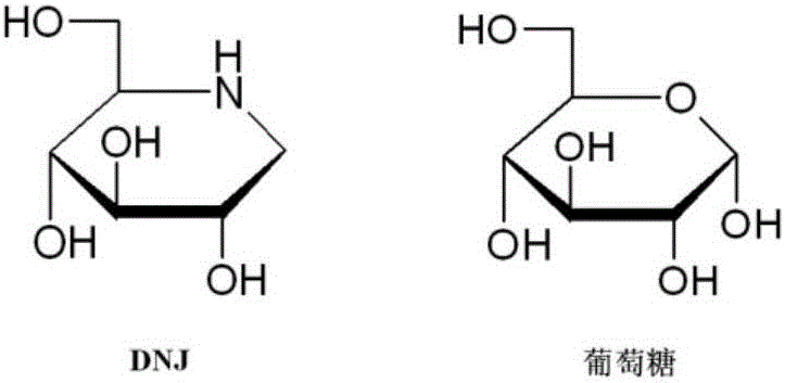 Method for preparing DNJ nanosuspension