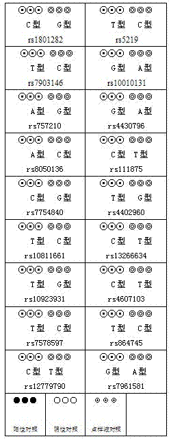 Gene chip for detecting mutation of 18 loci of susceptibility genes of type 2 diabetes