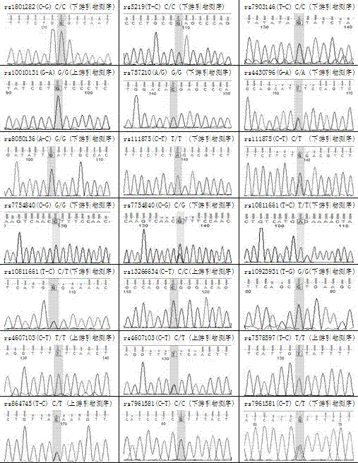 Gene chip for detecting mutation of 18 loci of susceptibility genes of type 2 diabetes