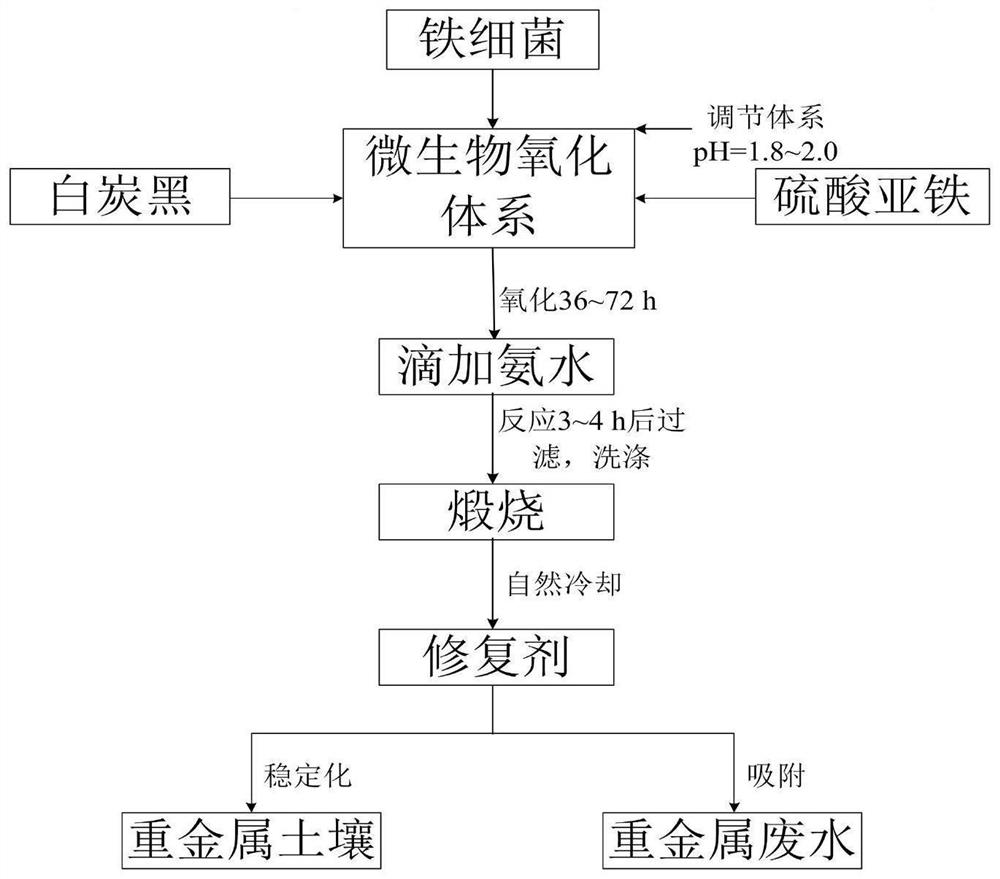 A kind of biological heavy metal polluted soil remediation agent and its preparation method and application