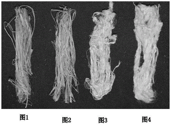 Pectate lyase, coding gene and applications thereof