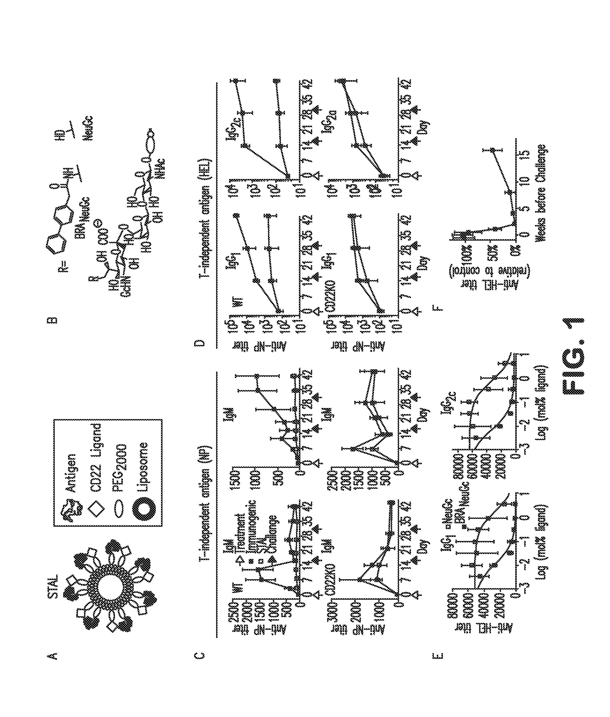 Methods and Compositions for Treating Bleeding Disorders