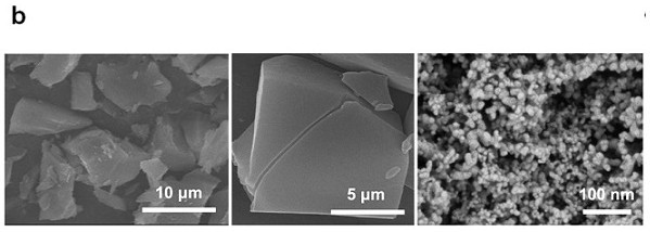 Application of titanium oxide-loaded silver monatomic material in virus killing