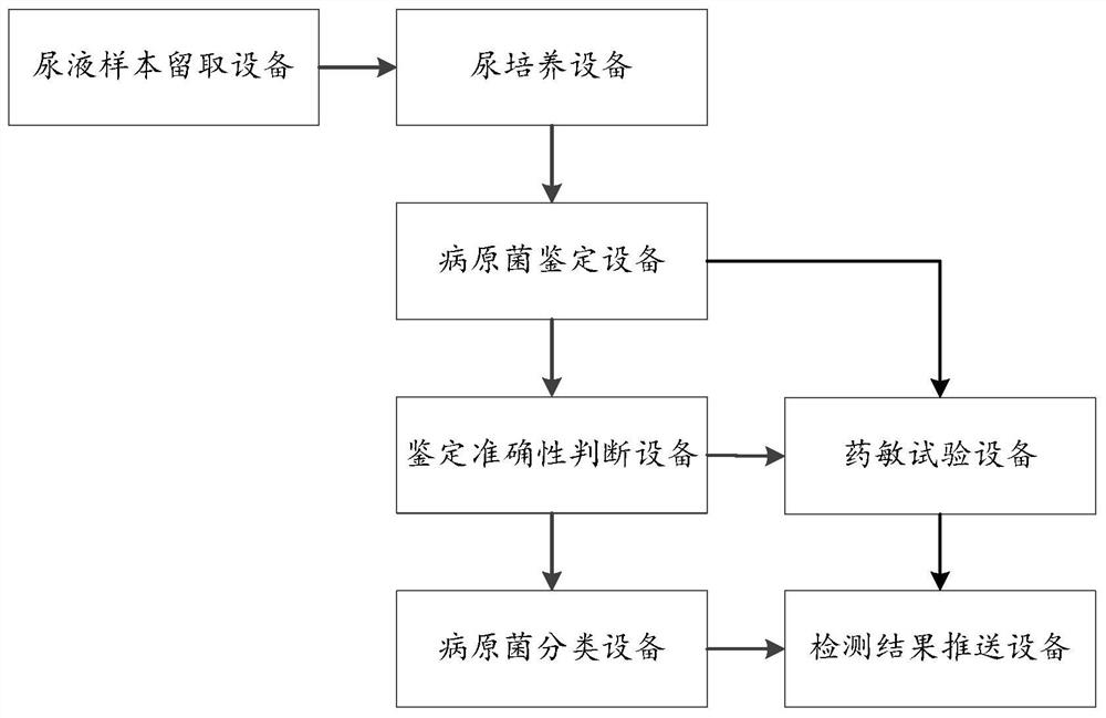 Urine pathogenic bacteria detection system