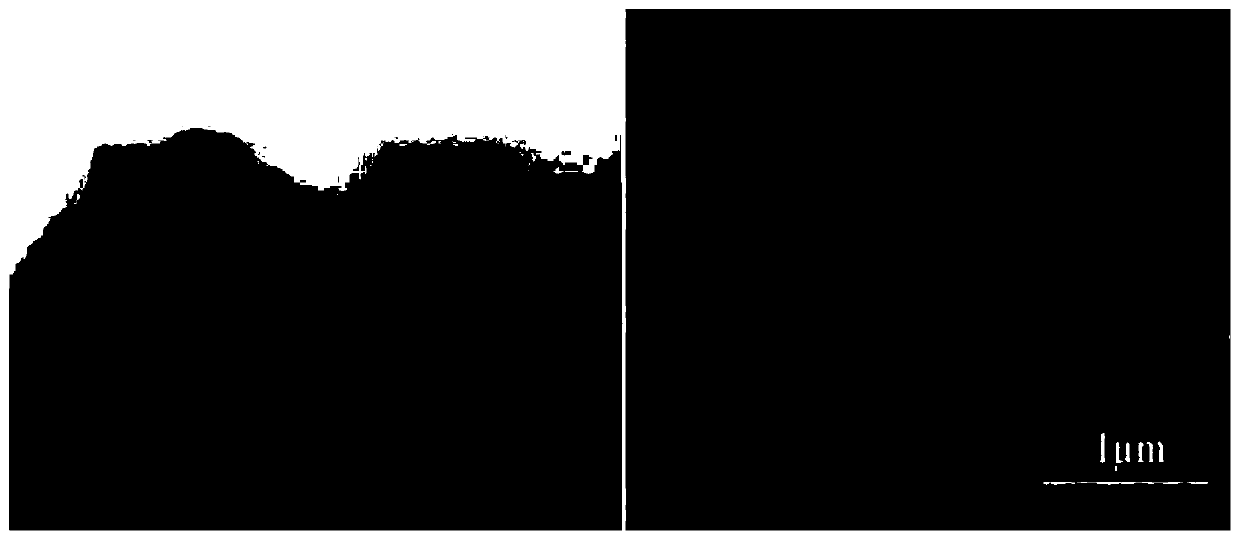 Monolithic visible light catalytic material and preparation method thereof