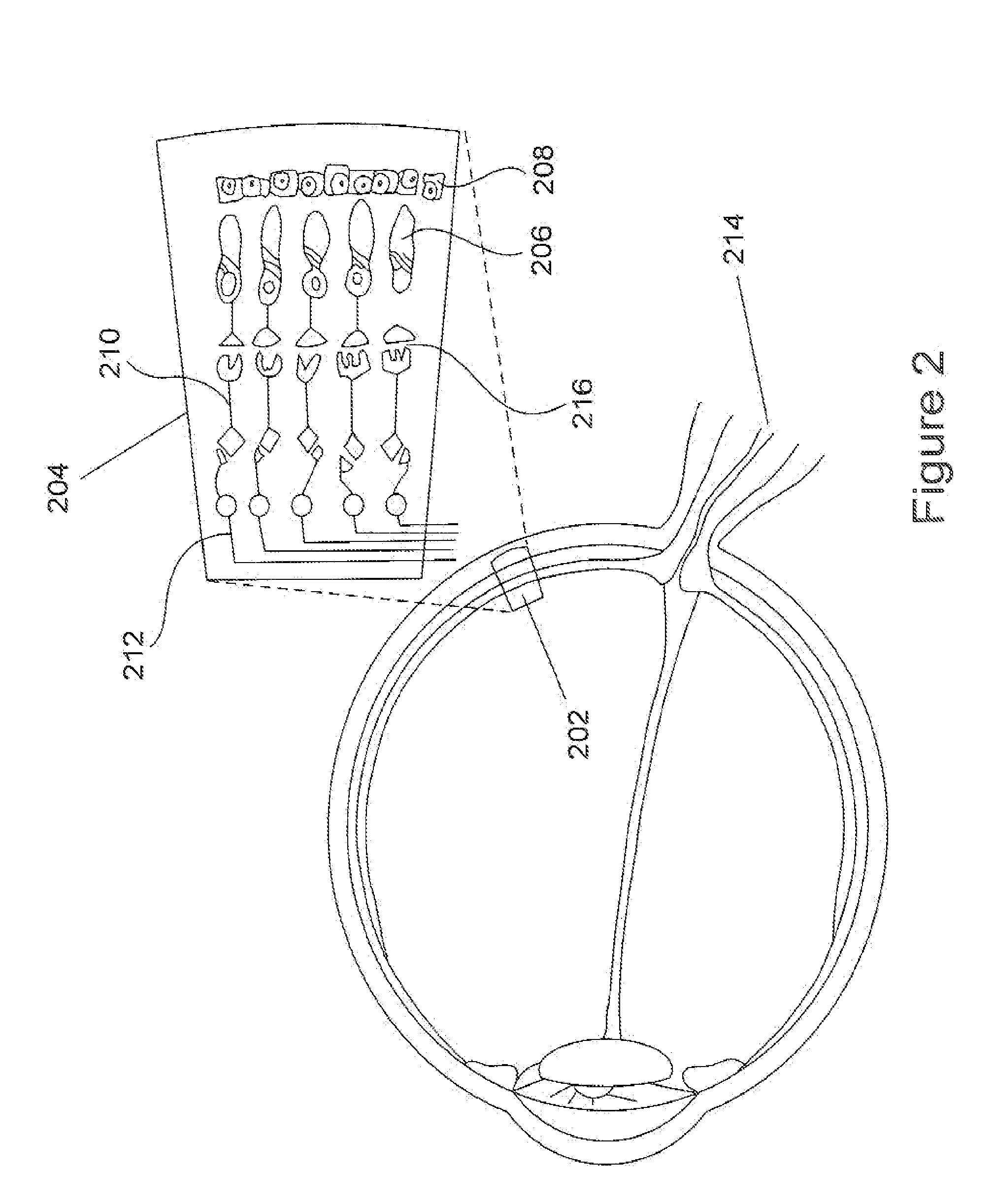 Method and apparatus for limiting growth of eye length