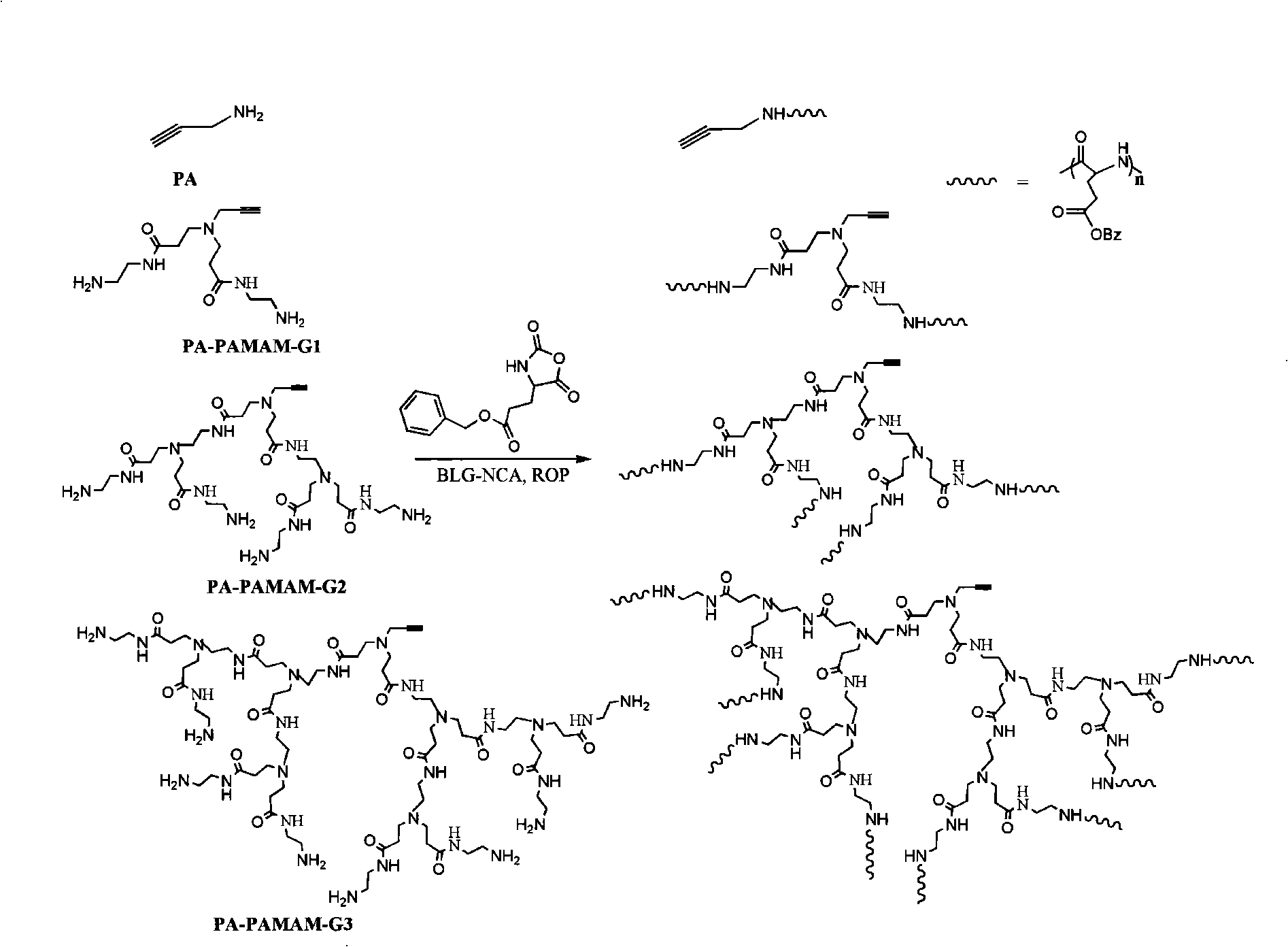 Synthesis of L-benzyl- glutamic ester polymer