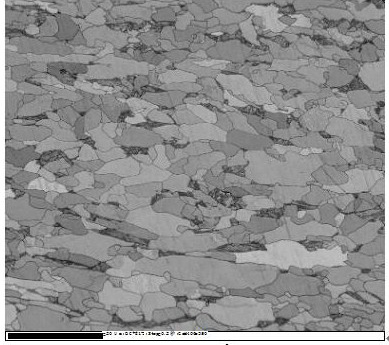 Method for Measuring Martensite Content in Duplex Steel Using Electron Backscatter Diffraction Technique