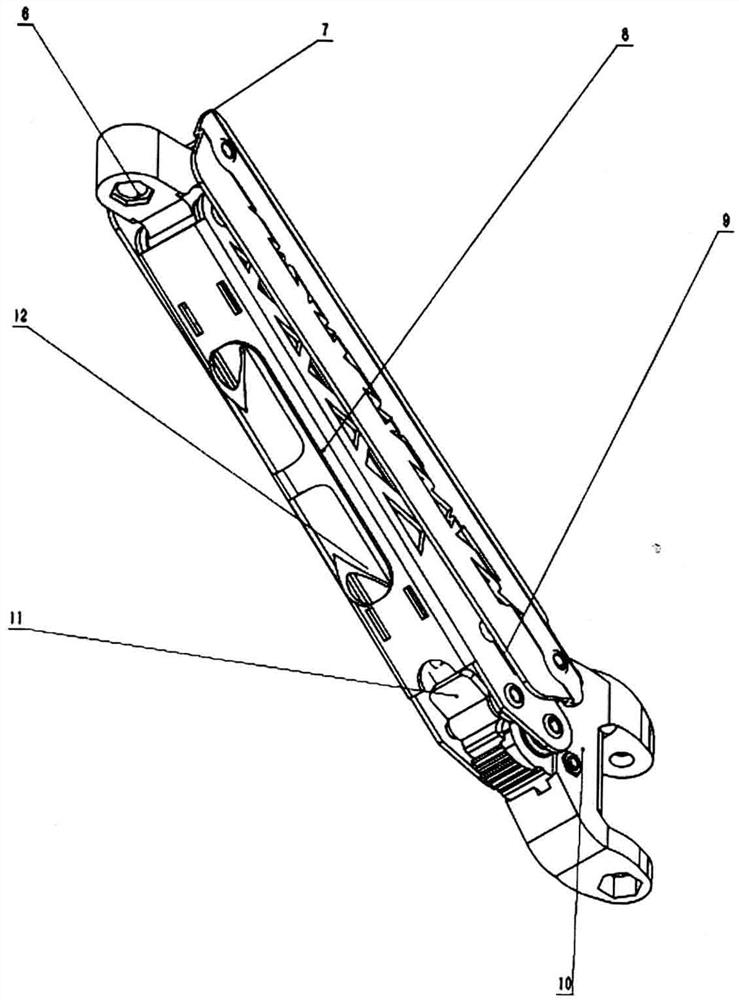 Ratchet wheel displayer support