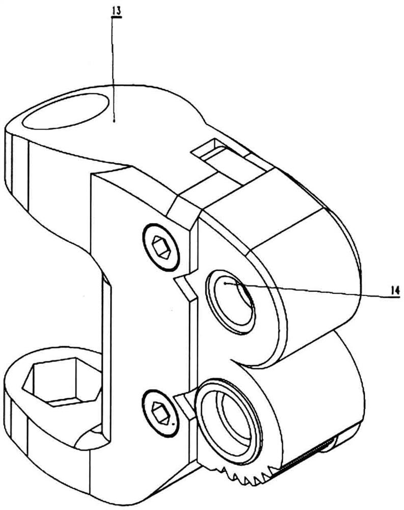Ratchet wheel displayer support