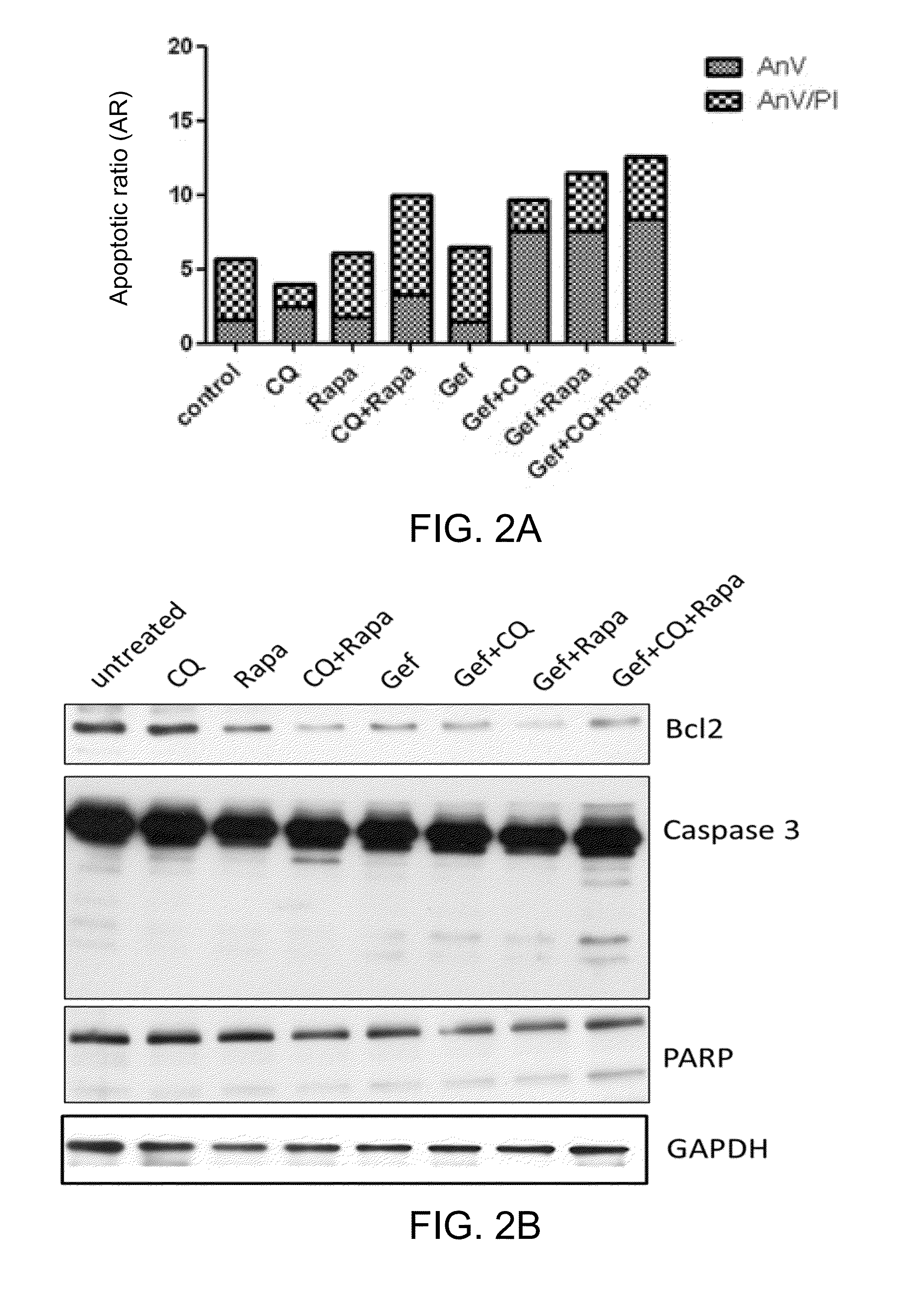 Method for treating epidermoid carcinoma