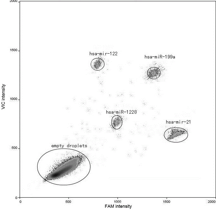 Liver cancer detection primer probe and kit thereof